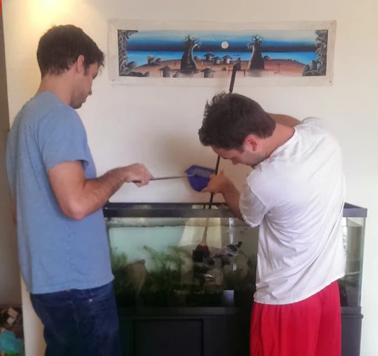 cleaning the tank