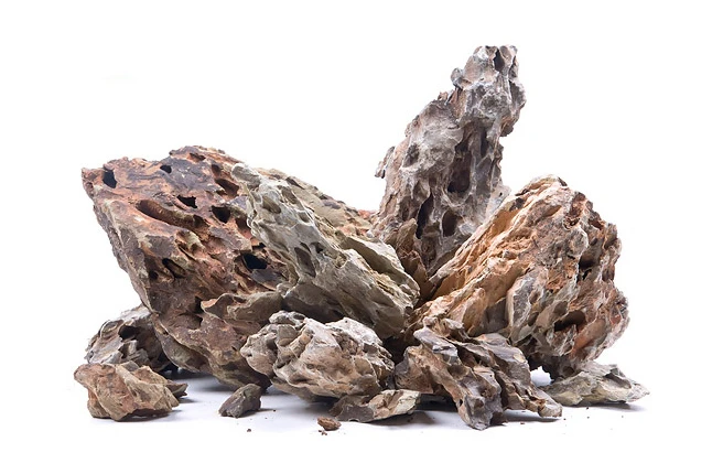 dragon rocks